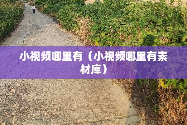 小视频哪里有（小视频哪里有素材库）