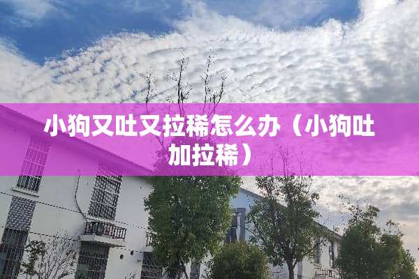 小狗又吐又拉稀怎么办（小狗吐加拉稀）