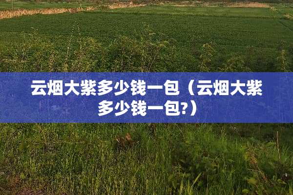 云烟大紫多少钱一包（云烟大紫多少钱一包?）