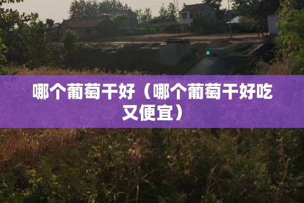 哪个葡萄干好（哪个葡萄干好吃又便宜）