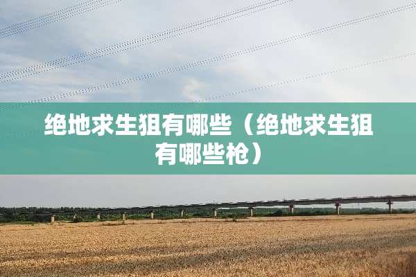 绝地求生狙有哪些（绝地求生狙有哪些*）