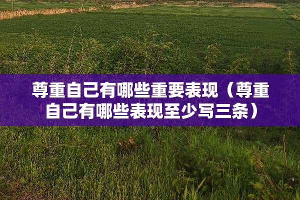 尊重自己有哪些重要表现（尊重自己有哪些表现至少写三条）