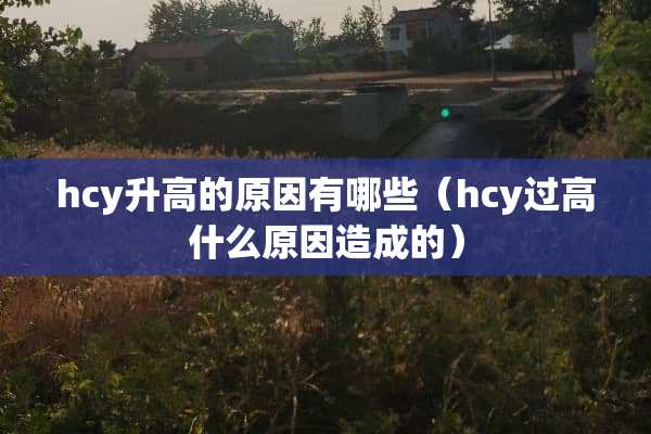 hcy升高的原因有哪些（hcy过高什么原因造成的）