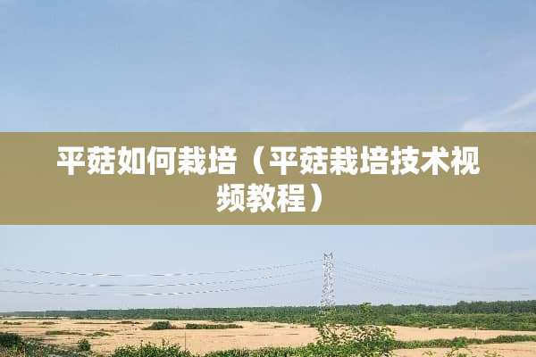平菇如何栽培（平菇栽培技术视频教程）