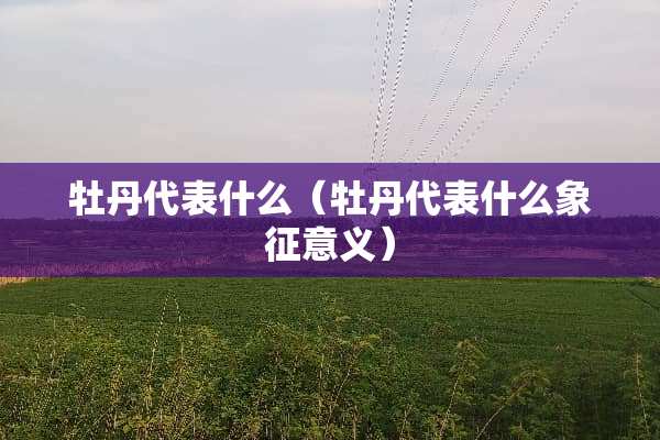 牡丹代表什么（牡丹代表什么象征意义）