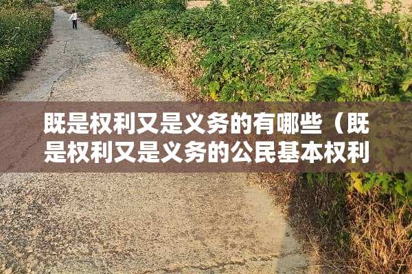 既是权利又是义务的有哪些（既是权利又是义务的公民基本权利）
