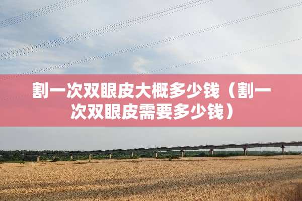割一次双眼皮大概多少钱（割一次双眼皮需要多少钱）