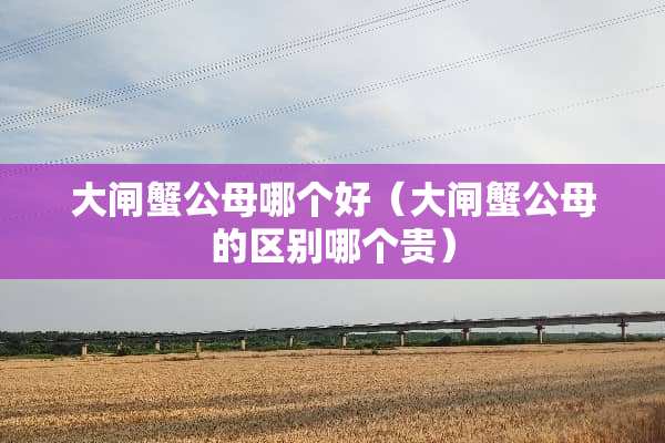 大闸蟹公母哪个好（大闸蟹公母的区别哪个贵）