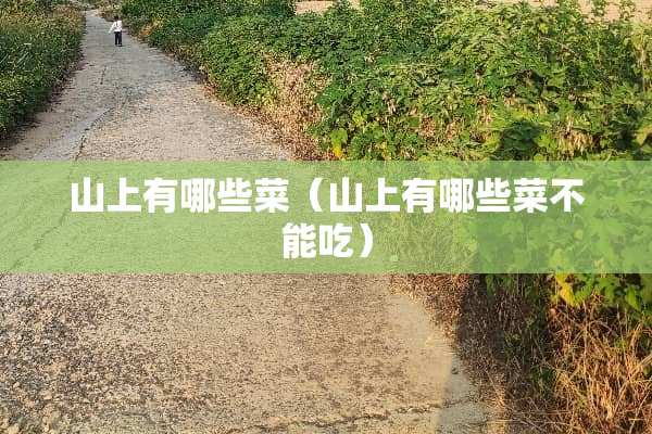山上有哪些菜（山上有哪些菜不能吃）