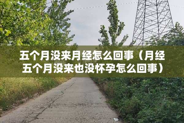 五个月没来月经怎么回事（月经五个月没来也没怀孕怎么回事）