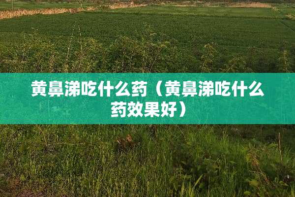 黄鼻涕吃什么药（黄鼻涕吃什么药效果好）