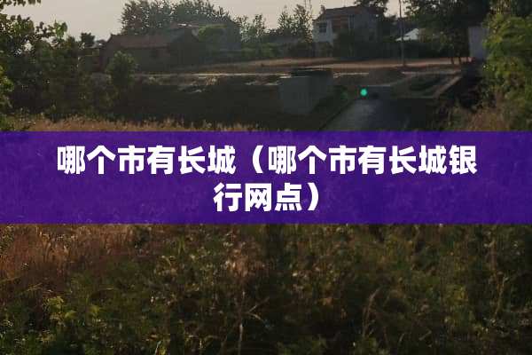 哪个市有长城（哪个市有长城银行网点）