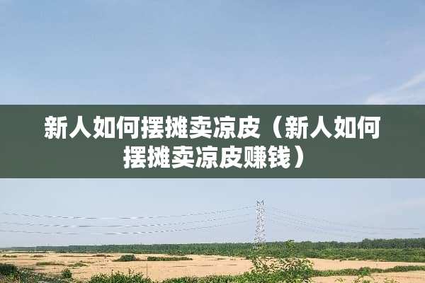 新人如何摆摊卖凉皮（新人如何摆摊卖凉皮赚钱）