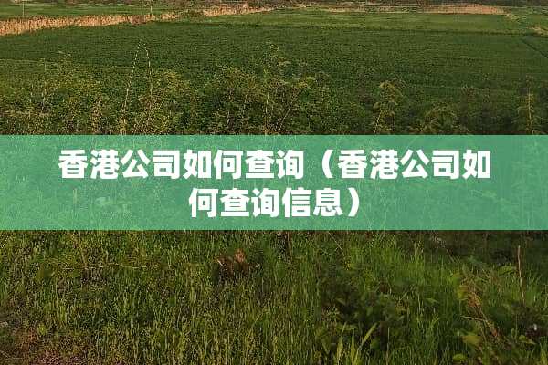 香港公司如何查询（香港公司如何查询信息）