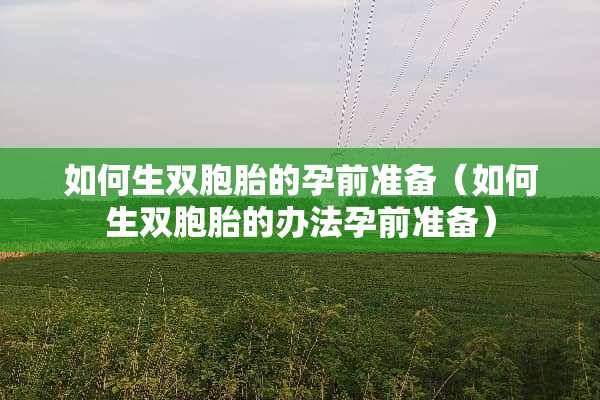 如何生双胞胎的孕前准备（如何生双胞胎的办法孕前准备）