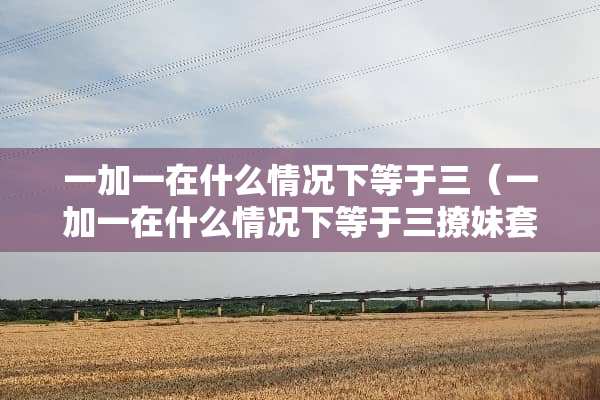 一加一在什么情况下等于三（一加一在什么情况下等于三撩妹套路）