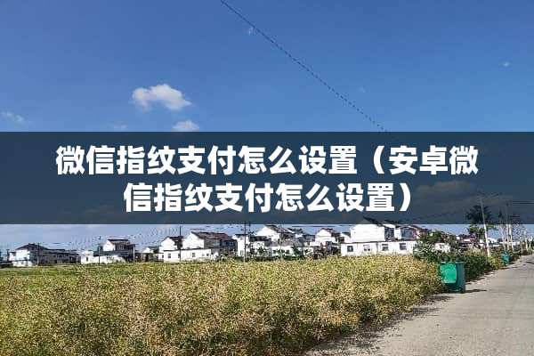 微信指纹支付怎么设置（安卓微信指纹支付怎么设置）