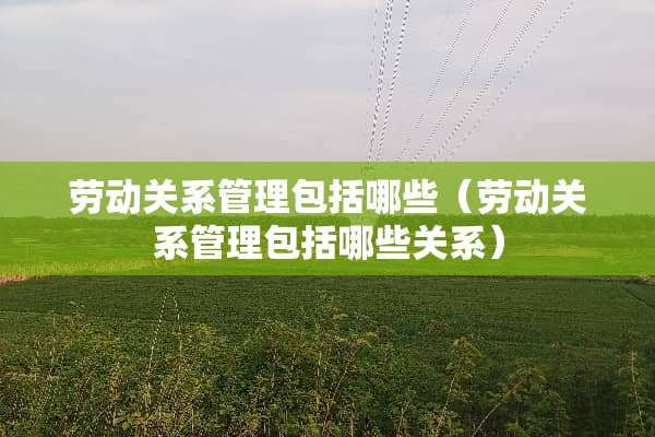 劳动关系管理包括哪些（劳动关系管理包括哪些关系）