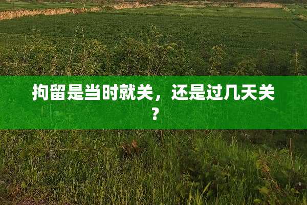 拘留是当时就关，还是过几天关？