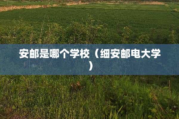 安邮是哪个学校（细安邮电大学）