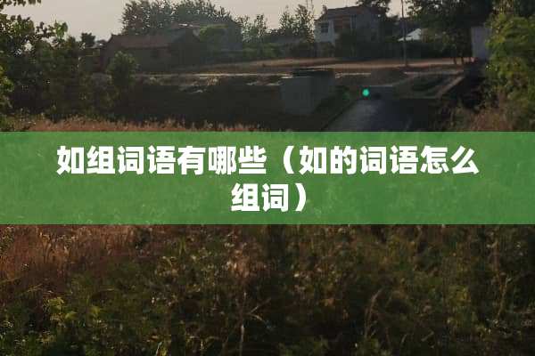 如组词语有哪些（如的词语怎么组词）