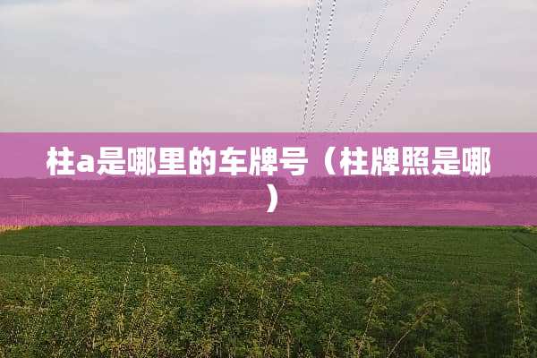 柱a是哪里的***（柱牌照是哪）