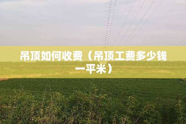 吊顶如何收费（吊顶工费多少钱一平米）