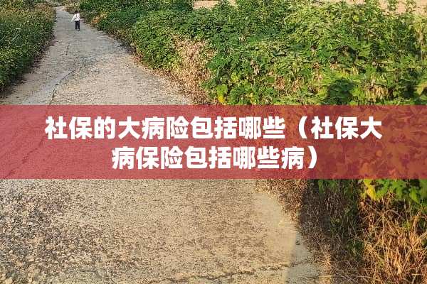社保的大病险包括哪些（社保大病保险包括哪些病）