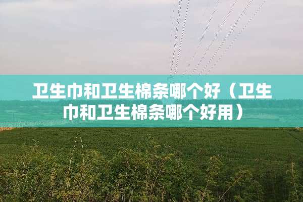 卫生巾和卫生棉条哪个好（卫生巾和卫生棉条哪个好用）