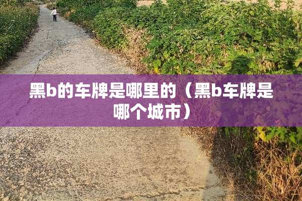 黑b的车牌是哪里的（黑b车牌是哪个城市）
