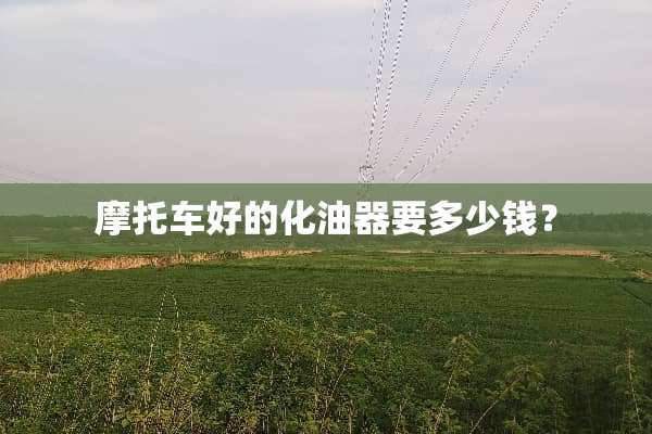 摩托车好的化油器要多少钱？