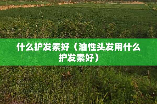 什么护发素好（油性头发用什么护发素好）