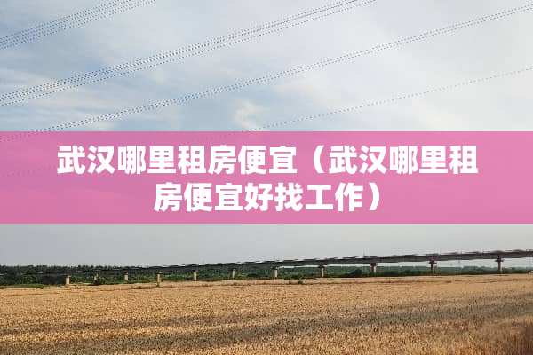 武汉哪里租房便宜（武汉哪里租房便宜好找工作）