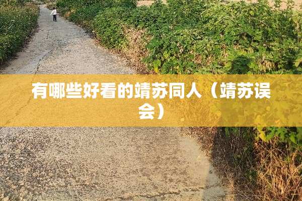 有哪些好看的靖苏同人（靖苏误会）