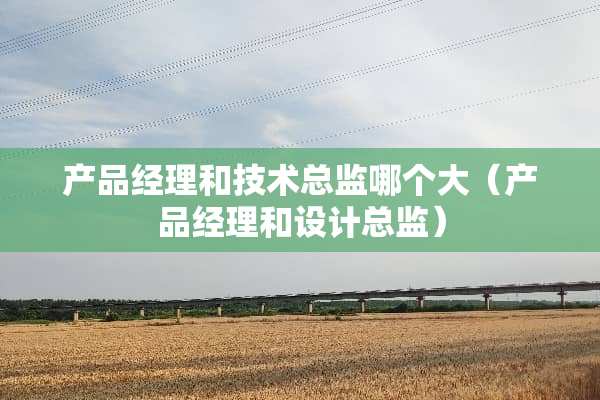产品经理和技术总监哪个大（产品经理和设计总监）