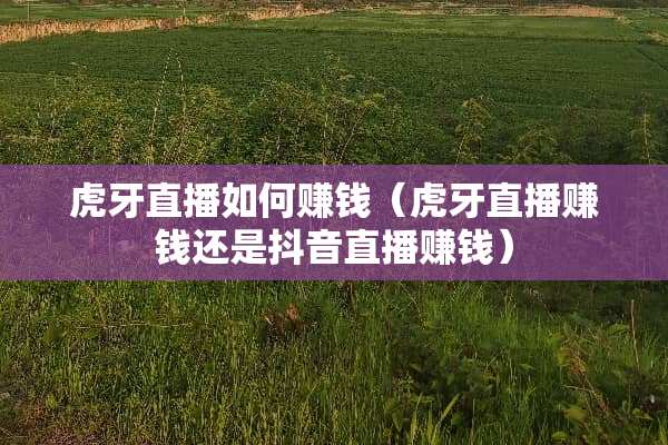 **直播如何赚钱（**直播赚钱还是抖音直播赚钱）