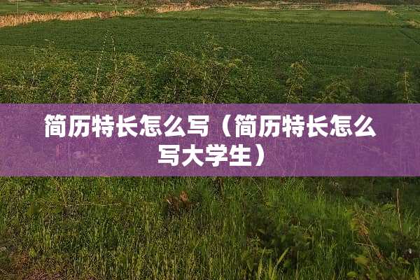 简历特长怎么写（简历特长怎么写大学生）