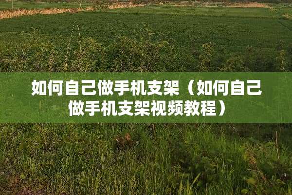 如何自己做手机支架（如何自己做手机支架视频教程）