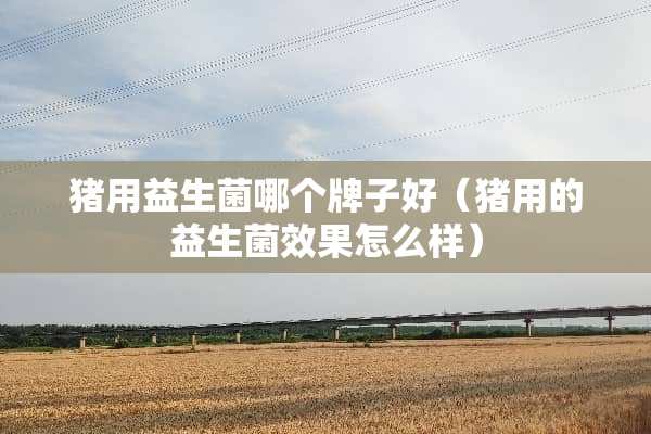 猪用益生菌哪个牌子好（猪用的益生菌效果怎么样）