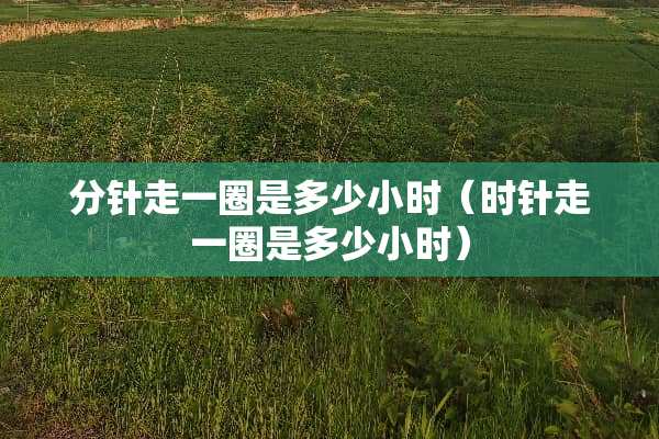 分针走一圈是多少小时（时针走一圈是多少小时）