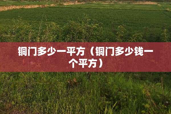 铜门多少一平方（铜门多少钱一个平方）