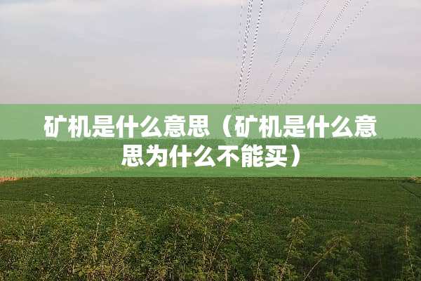 矿机是什么意思（矿机是什么意思为什么不能买）