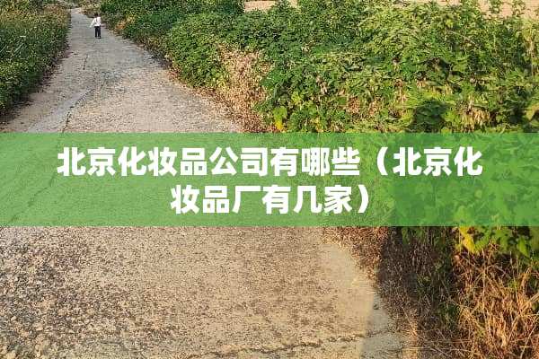 北京化妆品公司有哪些（北京化妆品厂有几家）