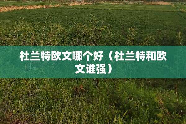杜兰特欧文哪个好（杜兰特和欧文谁强）