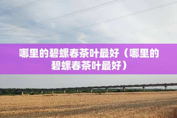 哪里的碧螺春茶叶最好（哪里的碧螺春茶叶最好）