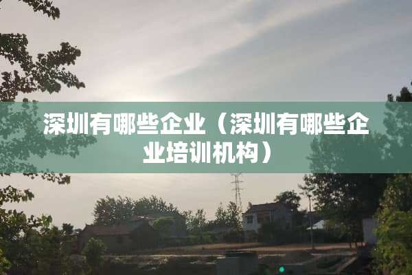 深圳有哪些企业（深圳有哪些企业培训机构）