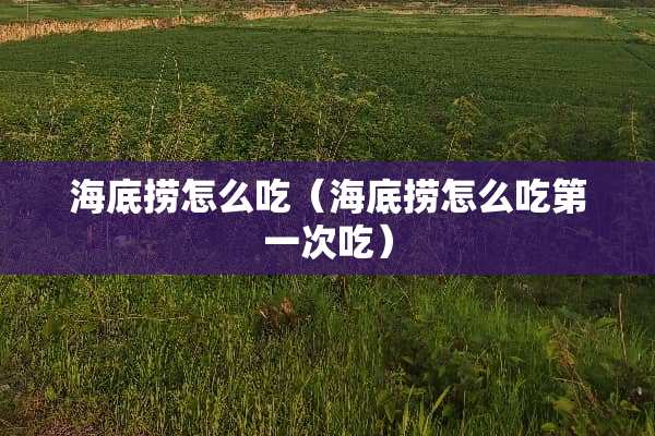 海底捞怎么吃（海底捞怎么吃第一次吃）