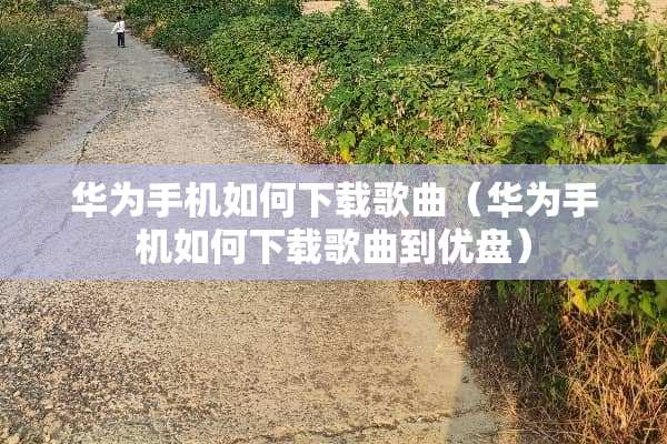 华为手机如何下载歌曲（华为手机如何下载歌曲到优盘）