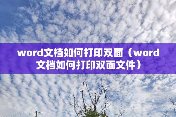 word文档如何打印双面（word文档如何打印双面文件）