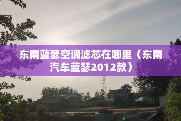 东南蓝瑟空调滤芯在哪里（东南汽车蓝瑟2012款）